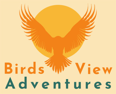 the logo for Birds View Adventures - a bird's eye view of a bird flying into the sun