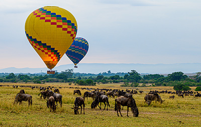 tourists in hot air balloons observing a herd of wilderbeast in a game reserve
