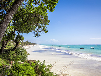a view of Diani Beach and its white sands