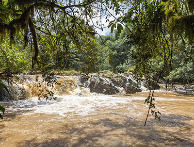 river rapids in Kakamega Forest