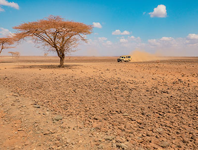 A tourist jeep driving pass acacia trees in the Chalbi Desert