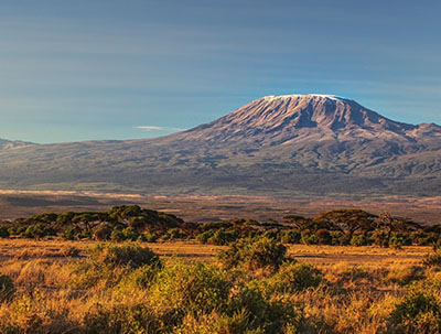 Mount Kilimanjaro in the background behind lush savannah grasses