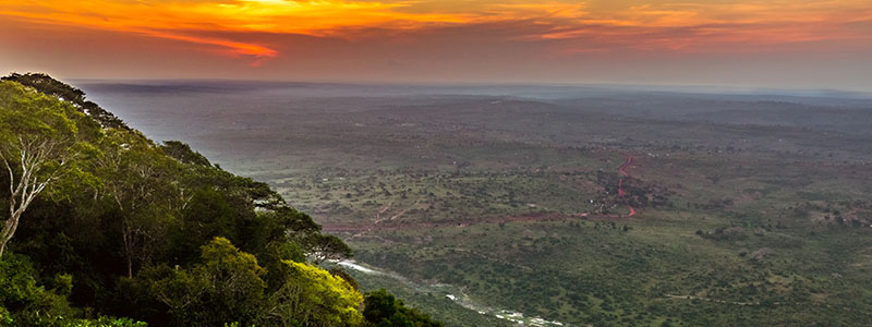 Shimba Hills National Reserve at sunset overlooking the valley