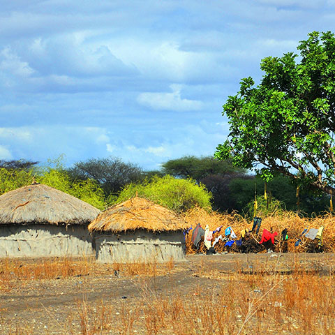 huts in Maasai village