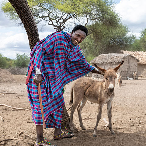 a Maasai Man posing with a donkey in a Maasai village