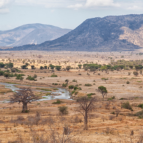 a view of the landsacpe of Ruaha National Park and Game Reserve